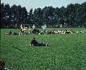 1969-09 OIs Sportfest 13